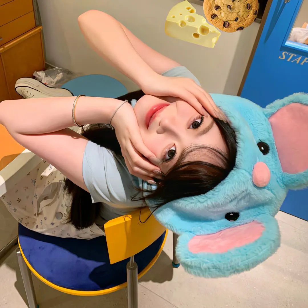 安卡